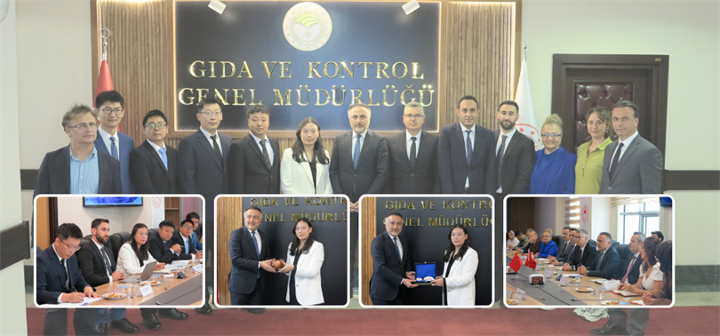 Çin heyeti kanatlı eti ihracatı için Türkiye'de teknik inceleme yapıyor