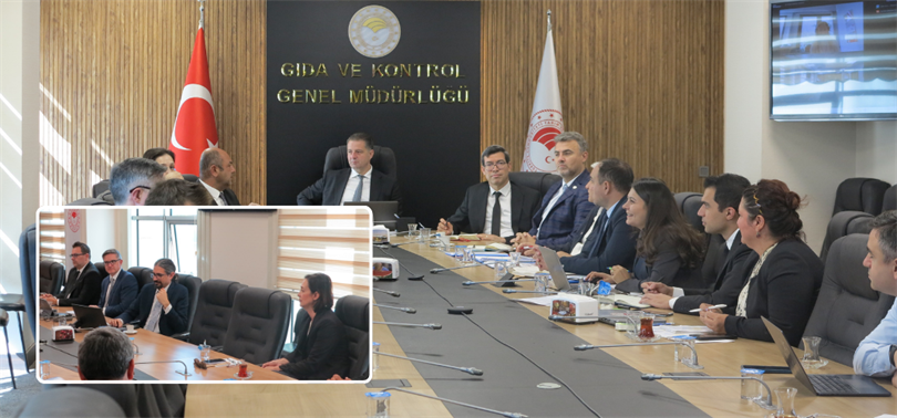 AB Komisyonu Türkiye'nin kalıntı izleme planını inceledi