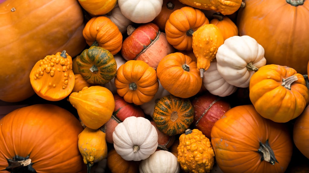 Pumpkins Are Diverse