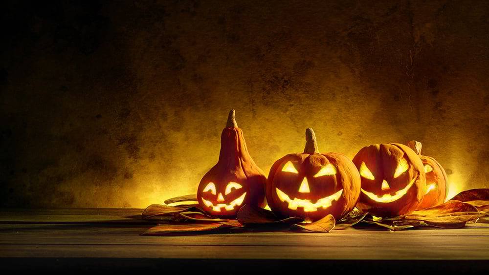 A Lot Of Pumpkins Are Wasted
