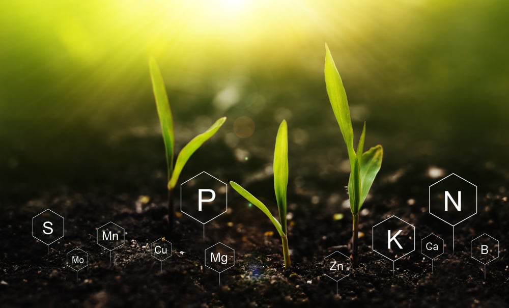 Phosphorus Is A Non-Renewable Resource