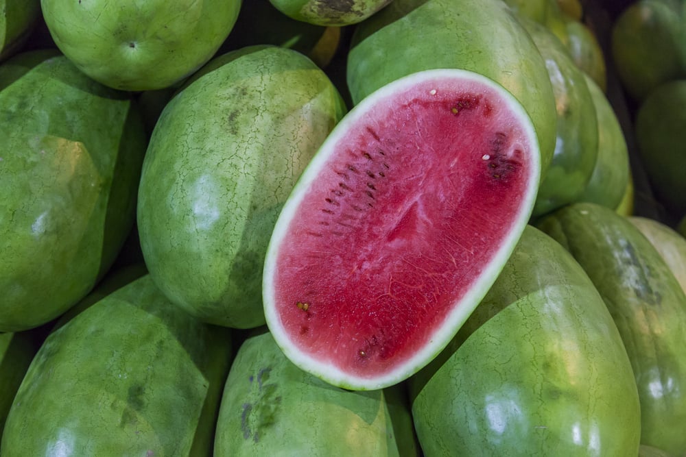 Exploring Different Types of Watermelon Varieties Based on Rind Patterns