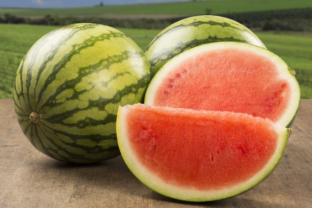 Future Trends in Watermelon Breeding
