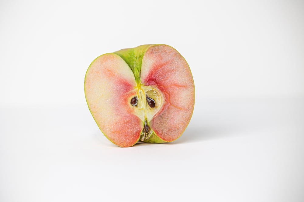 Challenges in Commercializing Red-Fleshed Apples
