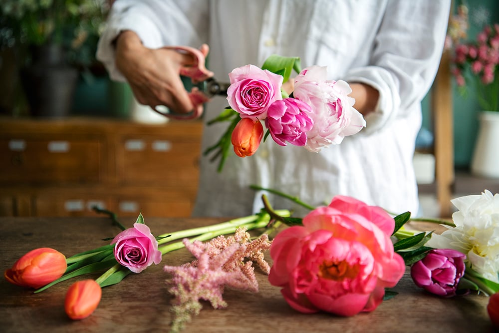 Why Are Modern Roses Not Fragrant?