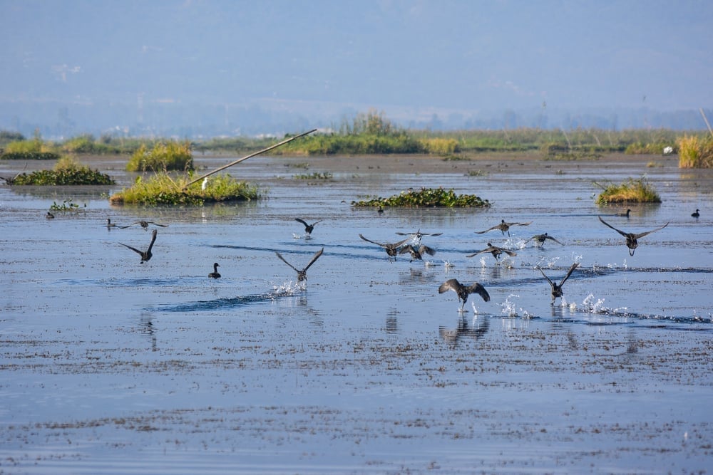 Exploring Loktak Lake: A Unique Natural Wonder in India