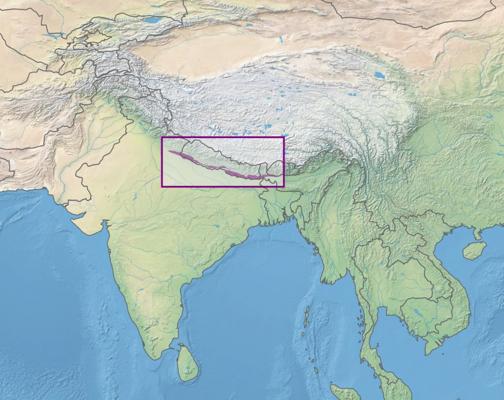 Flora And Fauna of Terai-Duars