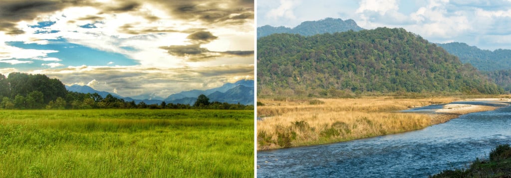 The Unique Ecosystem of Terai-Duars: A Haven for Biodiversity